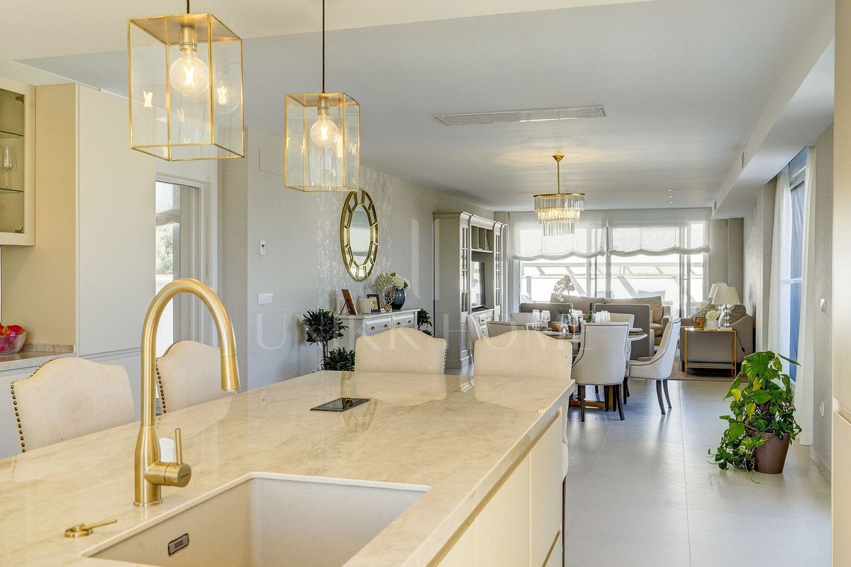 Large south-facing penthouse apartment