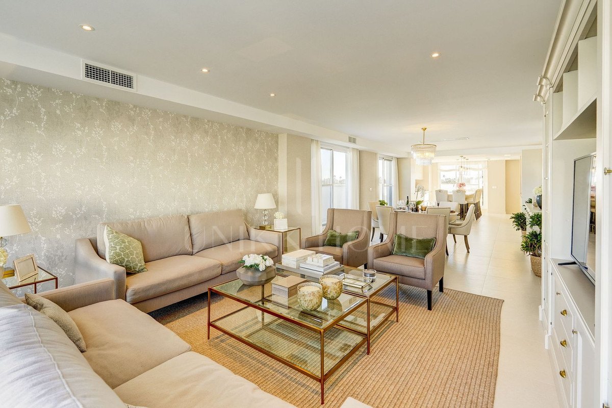 Large south-facing penthouse apartment