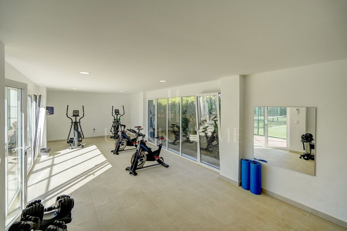 Large south-facing penthouse apartment