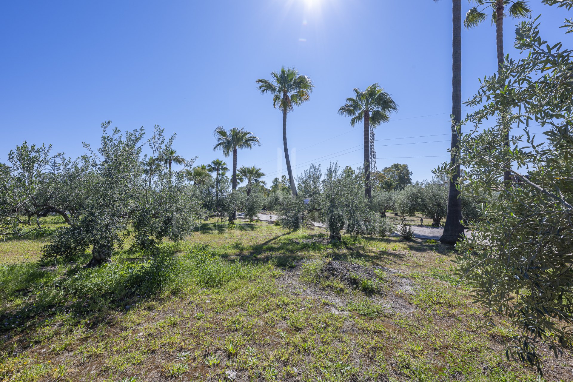 Exclusive Estate with views In El Padron