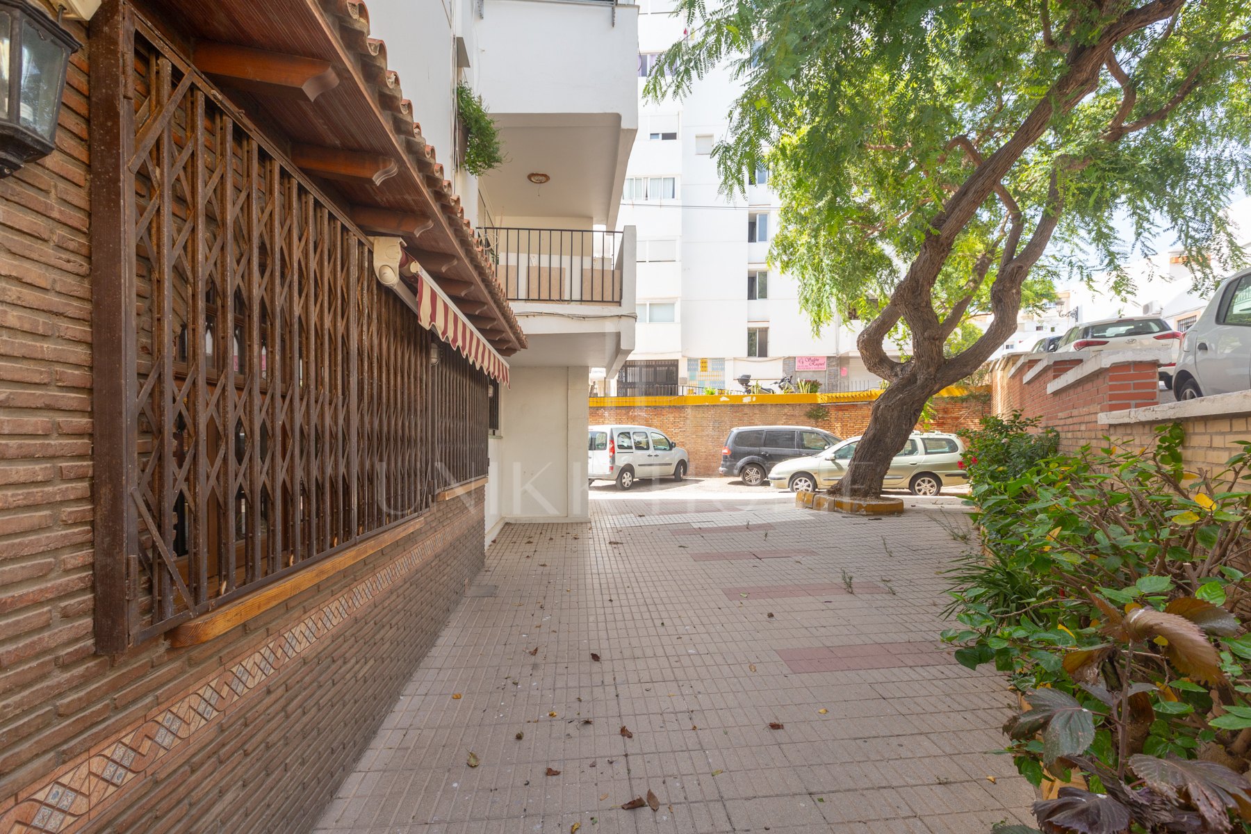 Local in Port of Estepona