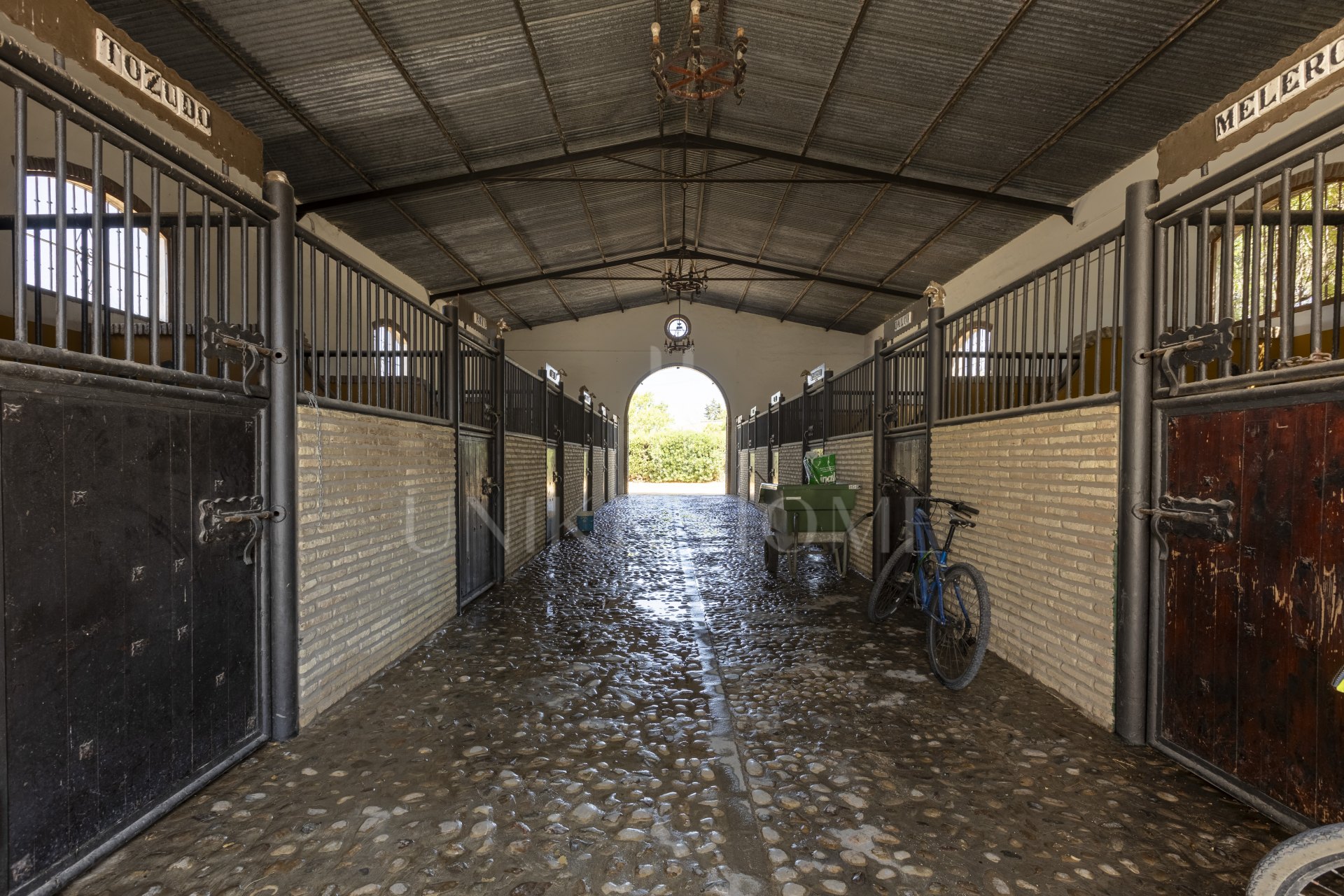 Equestrian Gastronomic and Rural Estate in Chiclana de la Frontera
