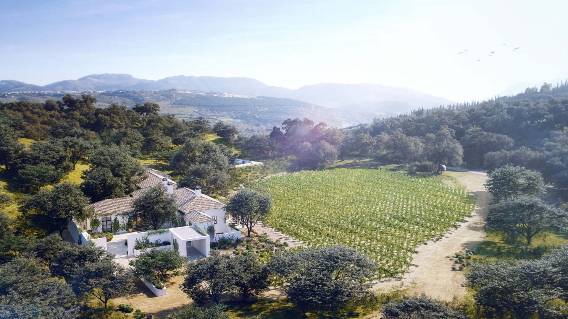 The Wine and Country Club: A Unique Lifestyle