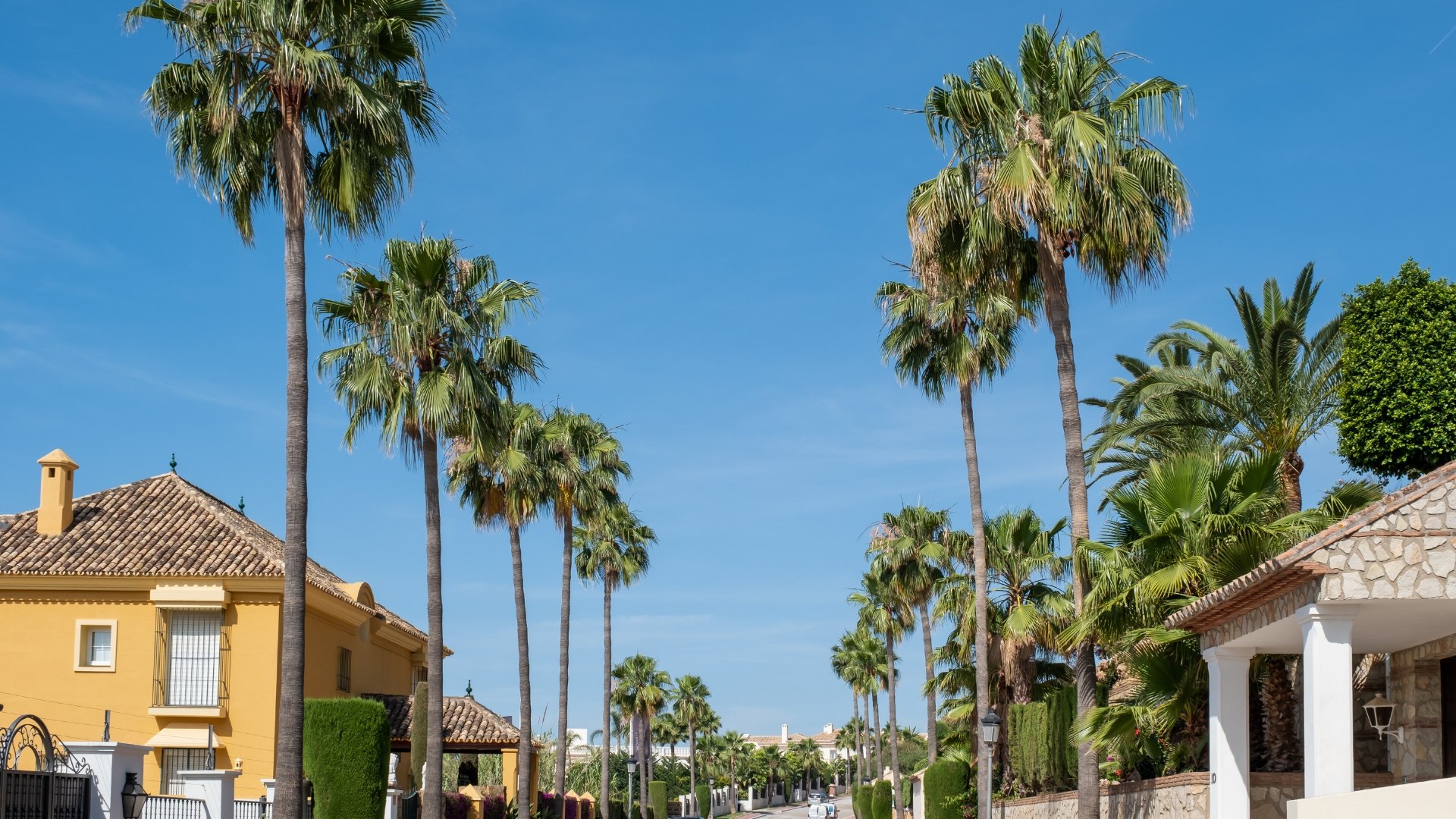 Image of the Sierra Blanca area in Marbella.