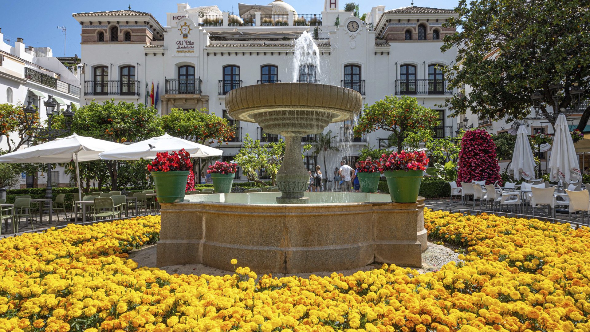 The best 12 things to do and See in the Estepona area