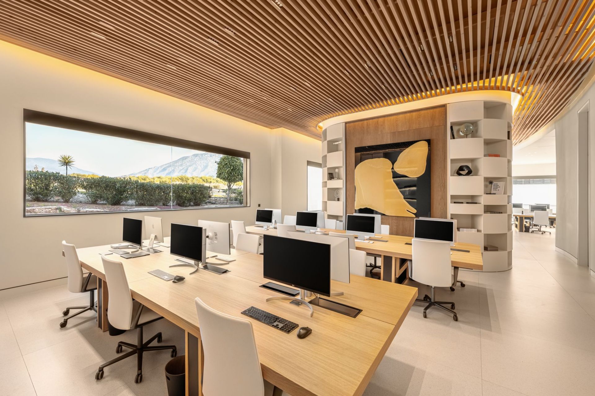 Photogrpah of the interior of the Drumelia office in the marketing department