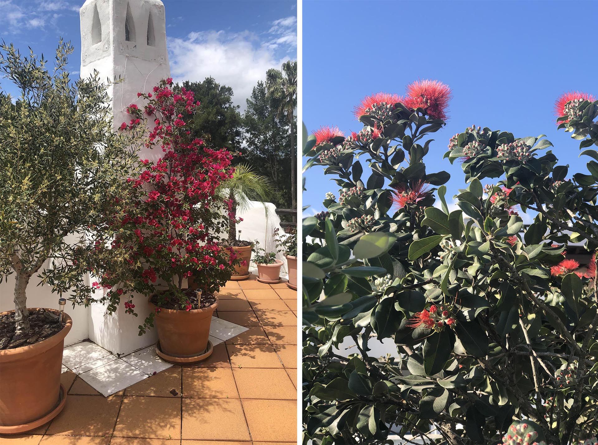 Inviting terraces in Sotogrande