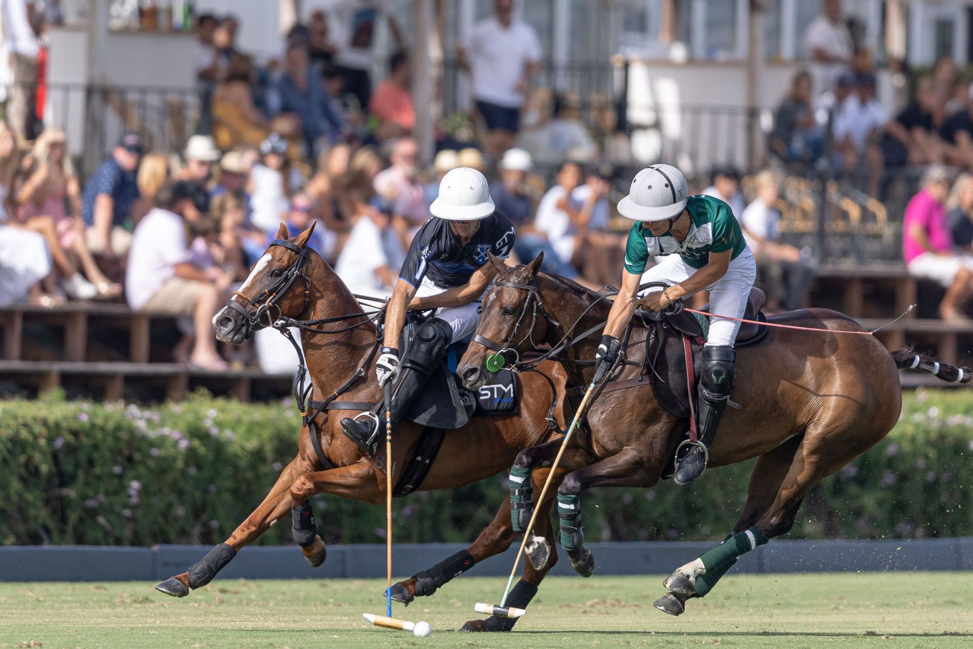 Polo in Sotogrande 2025
