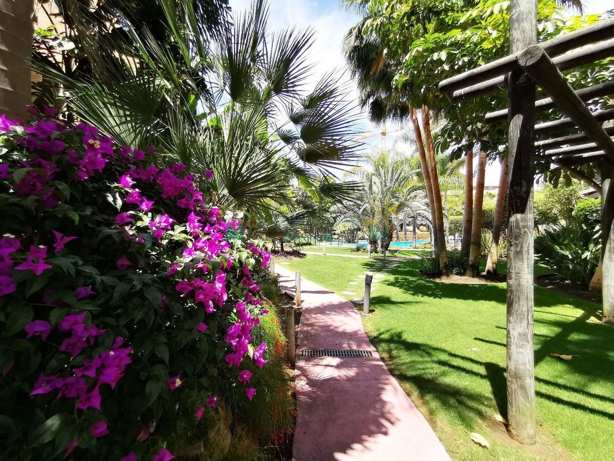 Ground Floor Apartment for rent in El Paraiso, Estepona