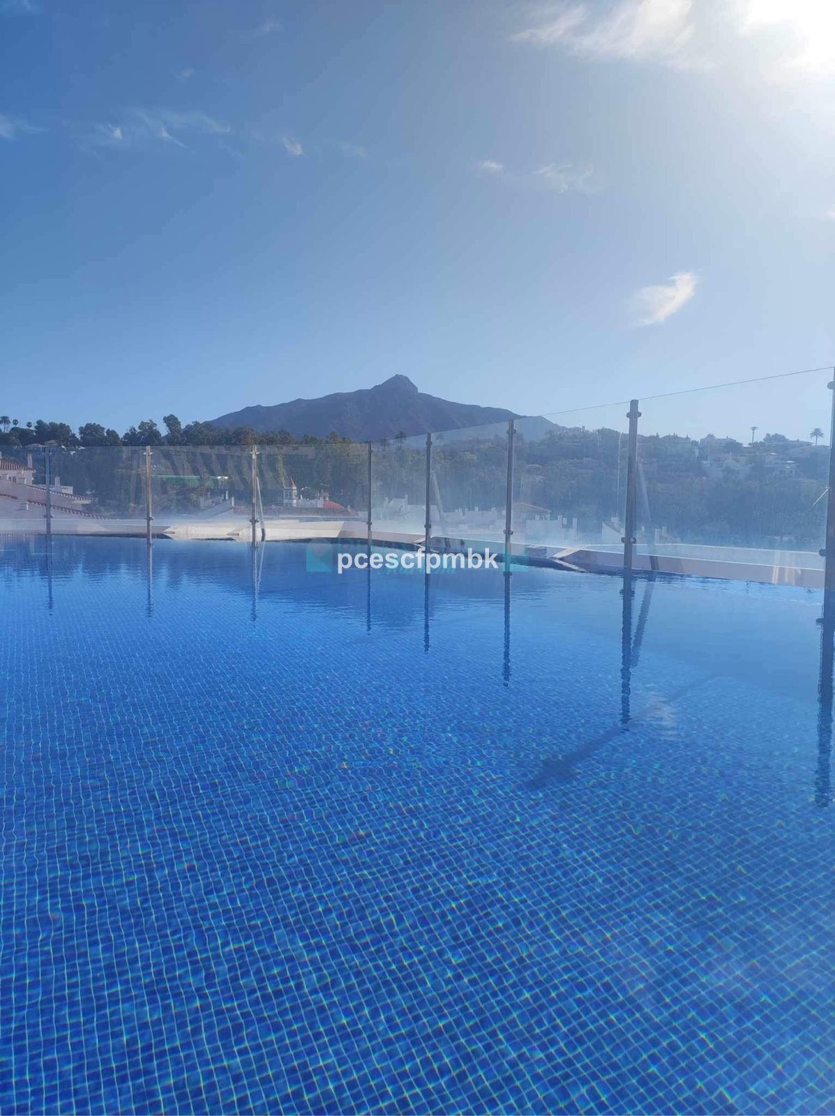 Apartment for rent in La Campana, Nueva Andalucia