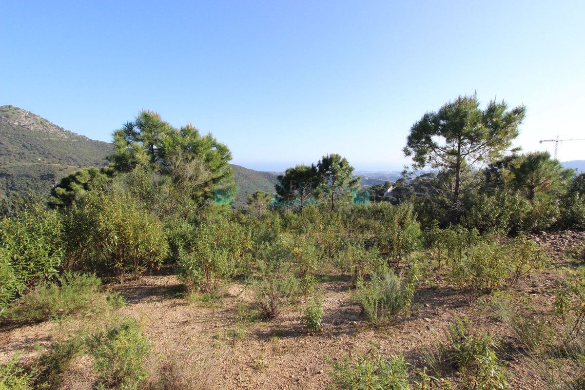 Residential Plot for sale in Benahavis