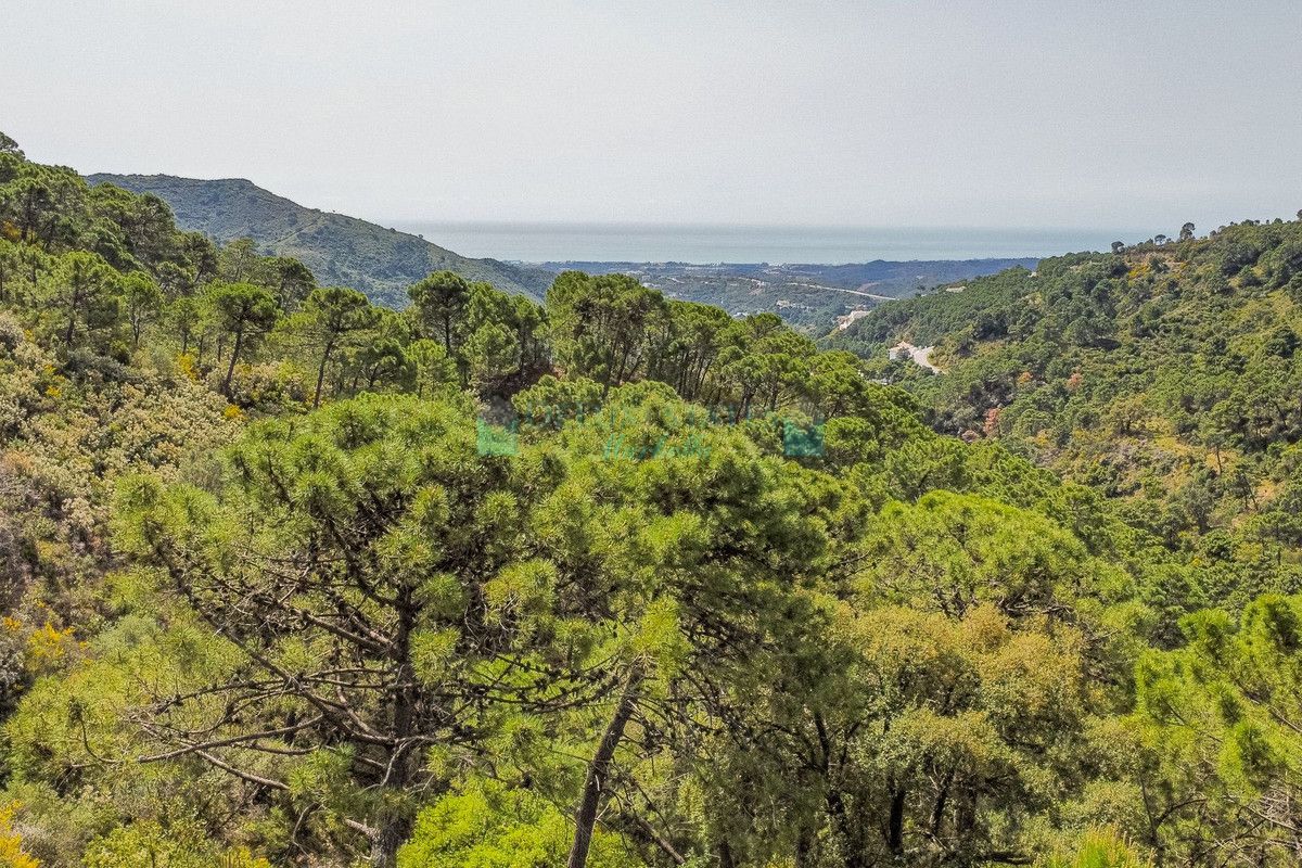 Plot for sale in Benahavis