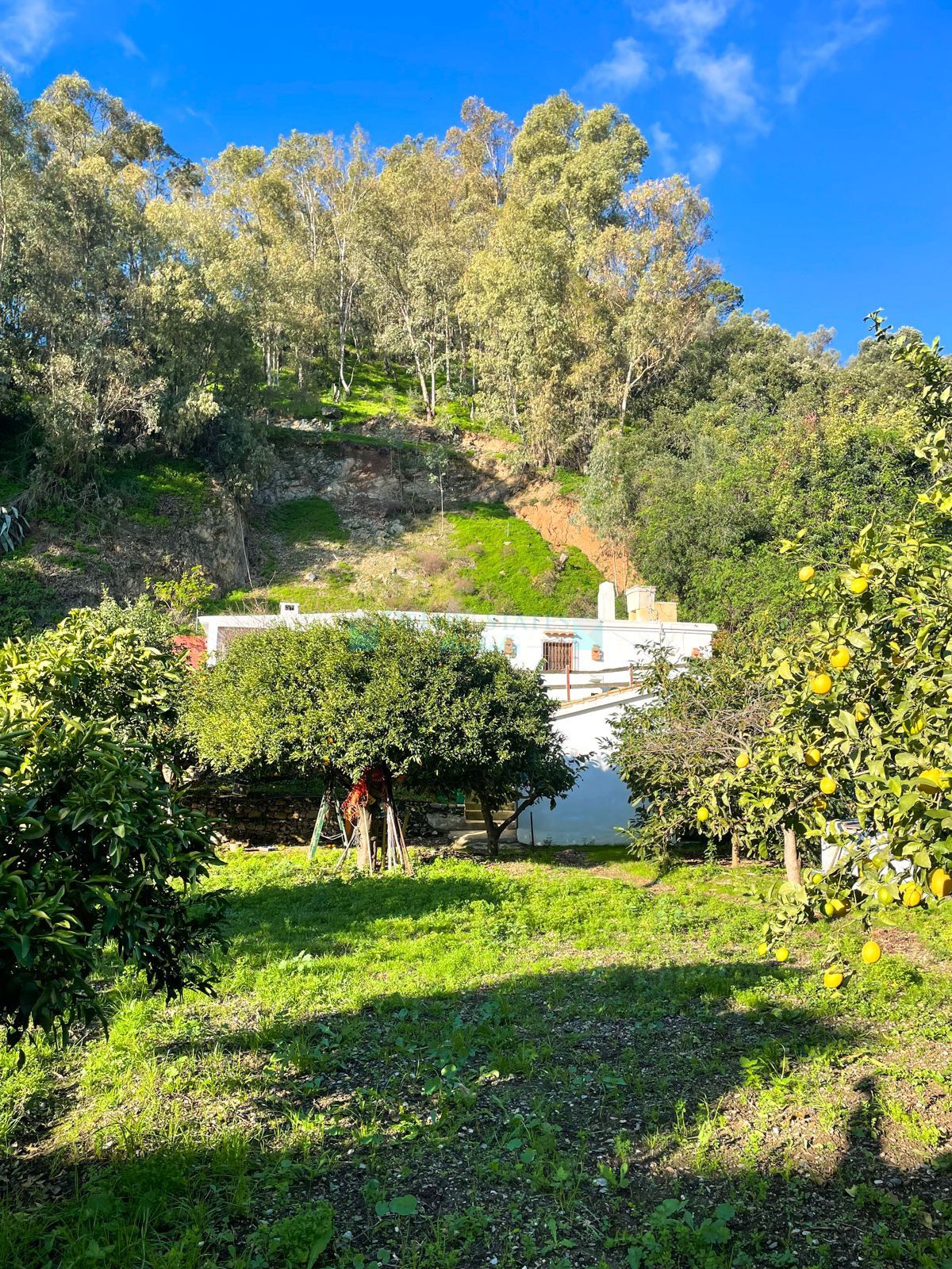 Finca for sale in Estepona