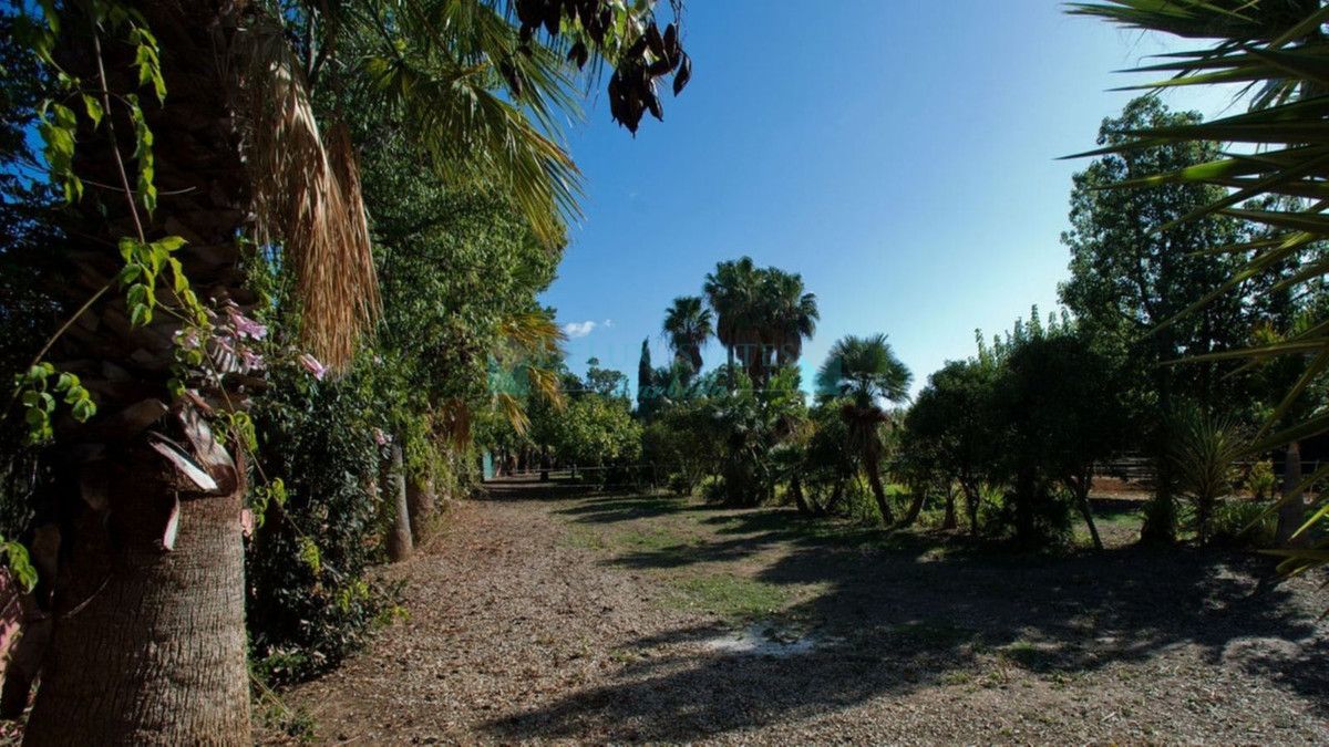 Finca en venta en Estepona