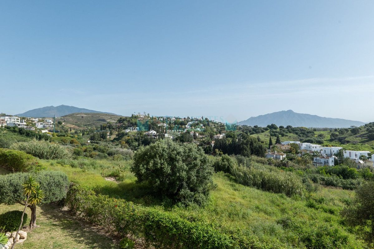 Apartment for rent in Estepona