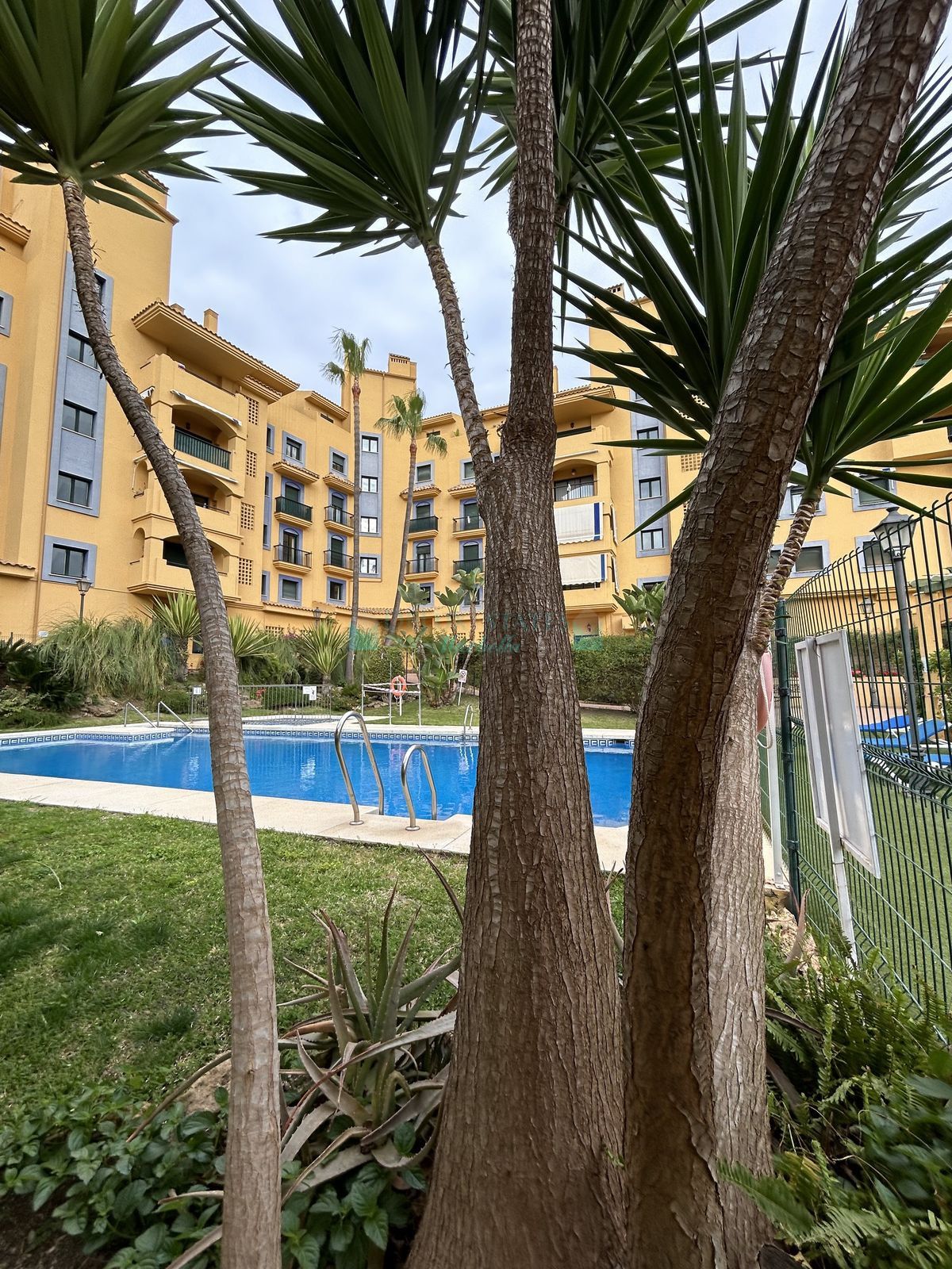 Ground Floor Apartment for rent in San Pedro de Alcantara