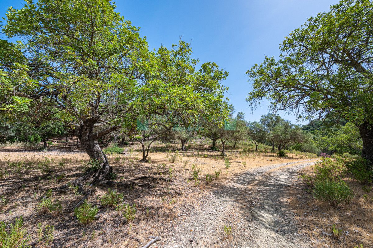 Parcela en venta en La Zagaleta, Benahavis