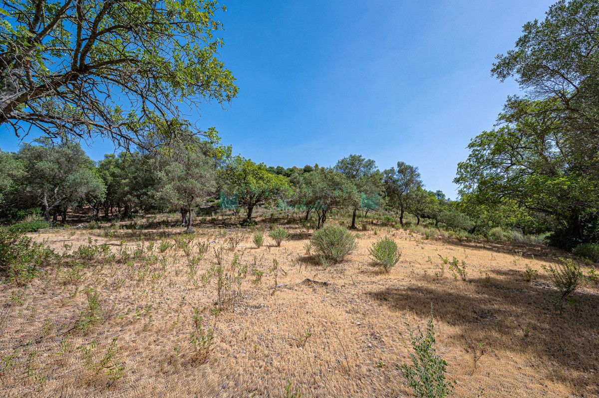 Parcela en venta en La Zagaleta, Benahavis