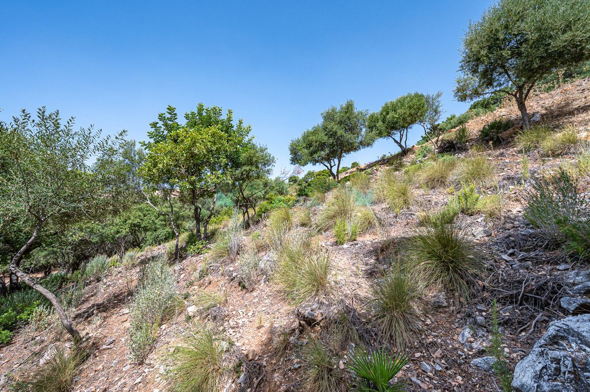 Parcela en venta en La Zagaleta, Benahavis