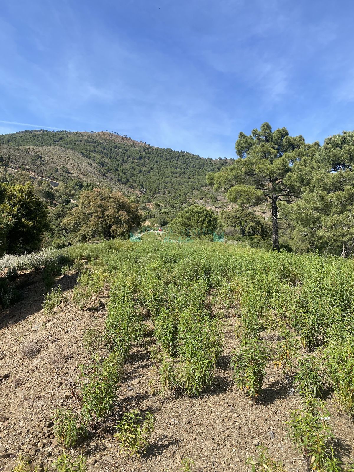 Residential Plot for sale in La Zagaleta, Benahavis