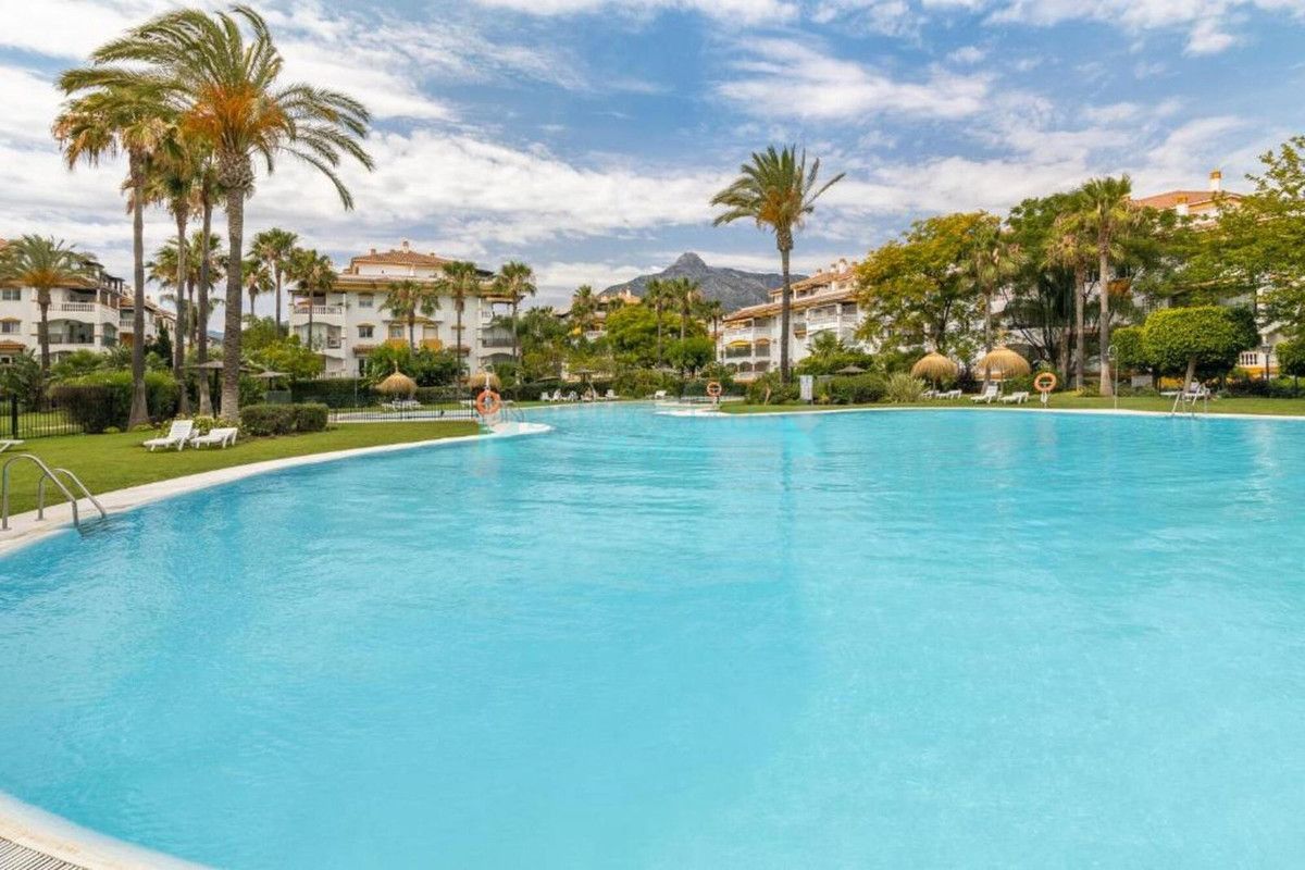 Studio for rent in Nueva Andalucia