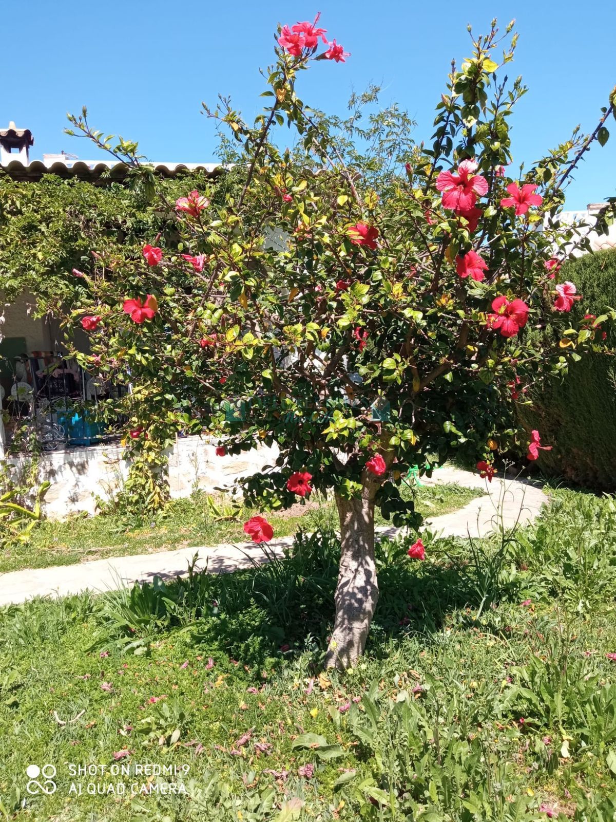 Villa en alquiler en Rio Real, Marbella Este