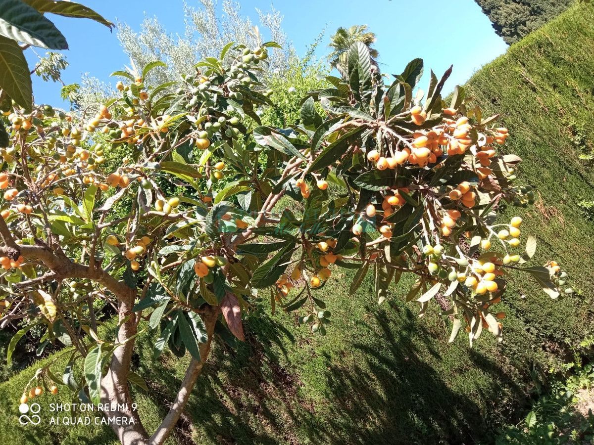 Villa en alquiler en Rio Real, Marbella Este