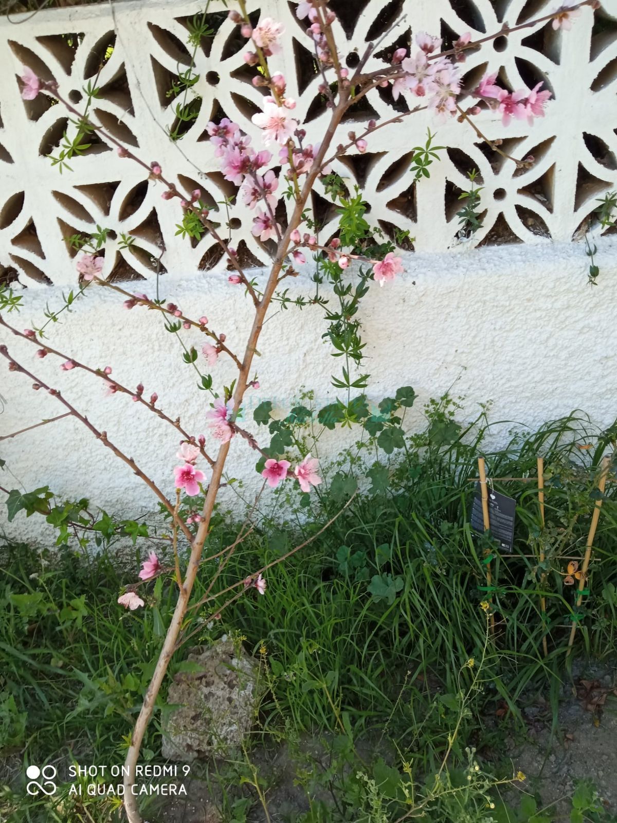 Villa en alquiler en Rio Real, Marbella Este