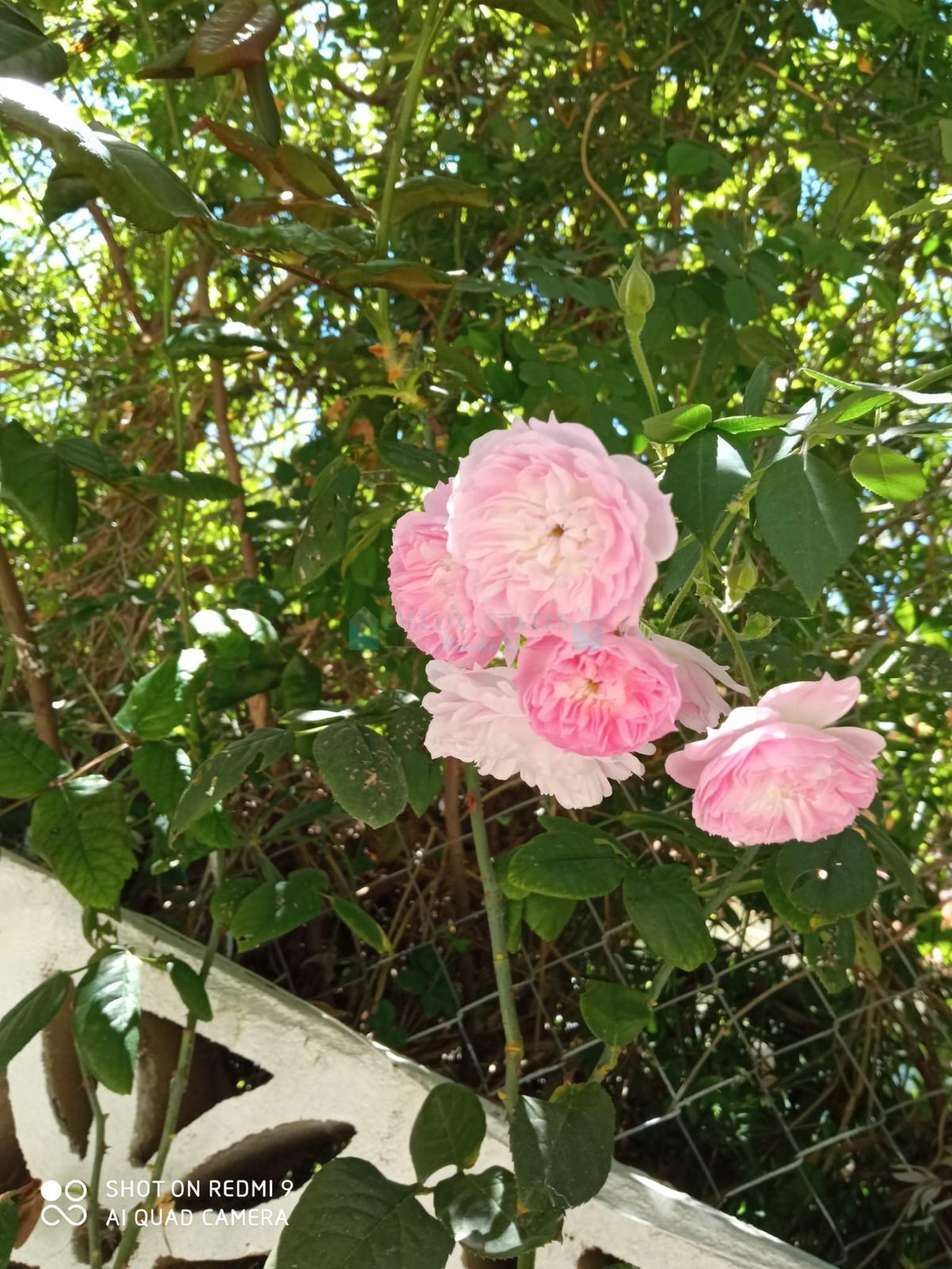 Villa en alquiler en Rio Real, Marbella Este