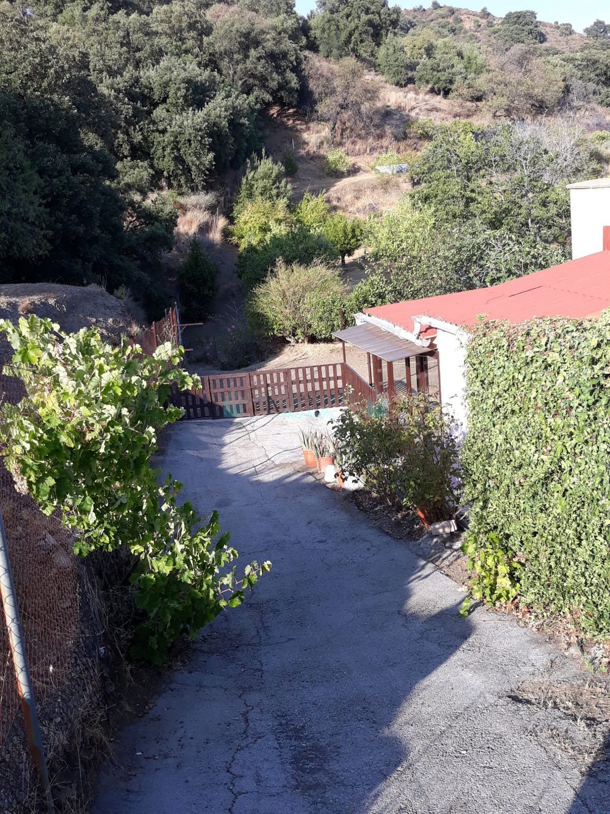 Finca for sale in Estepona