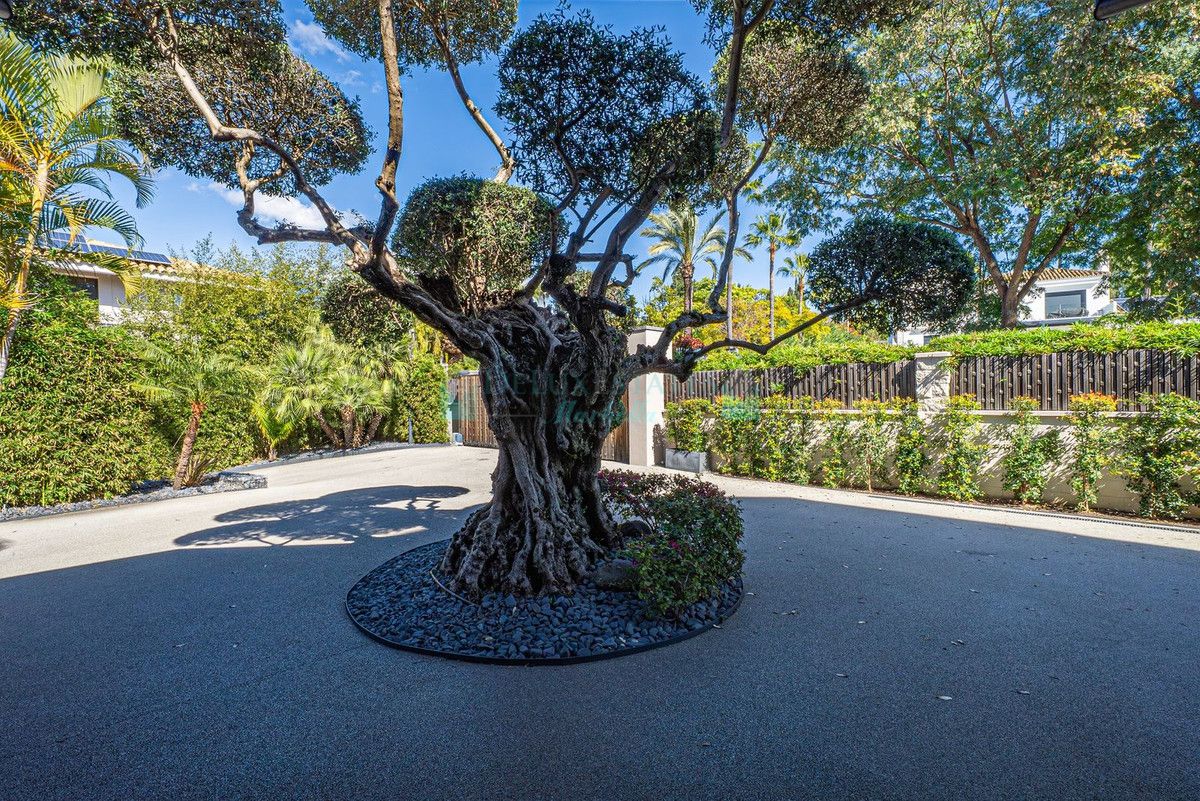 Villa for sale in Guadalmina Baja, San Pedro de Alcantara