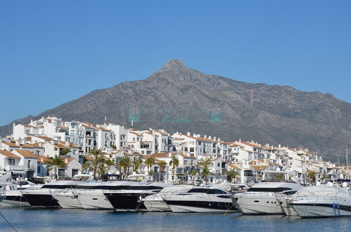 Business for rent in Marbella - Puerto Banus