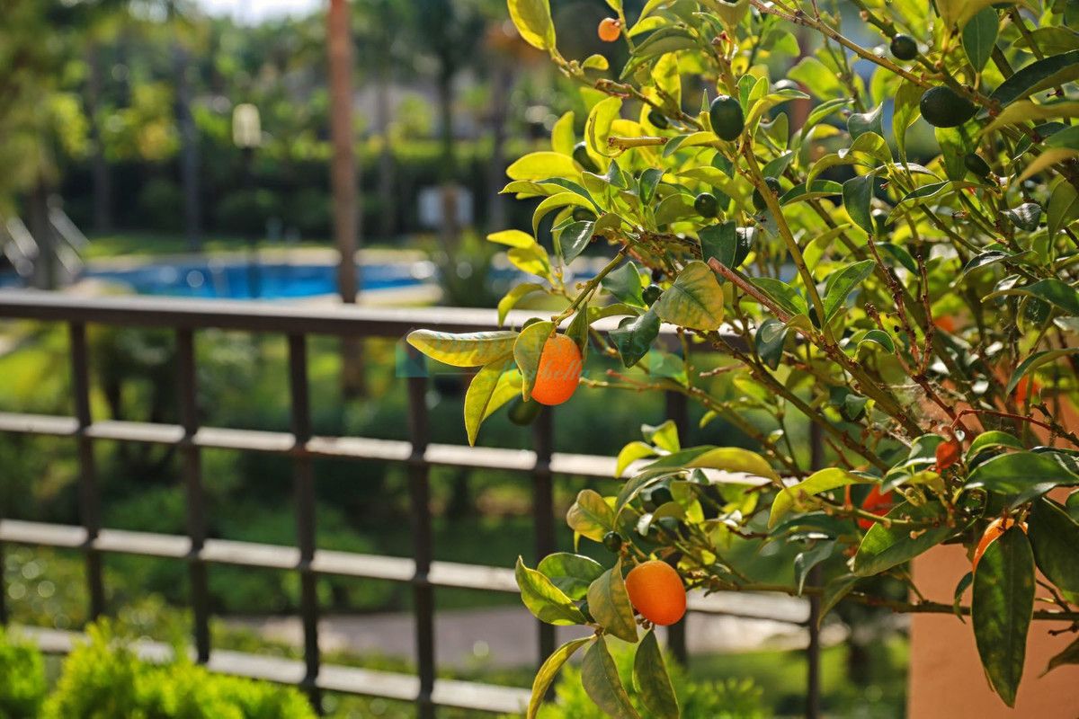 Apartamento en alquiler en Marbella - Puerto Banus