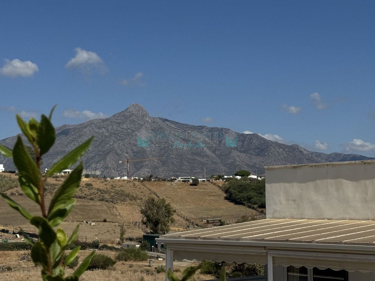 Penthouse for rent in Nueva Andalucia