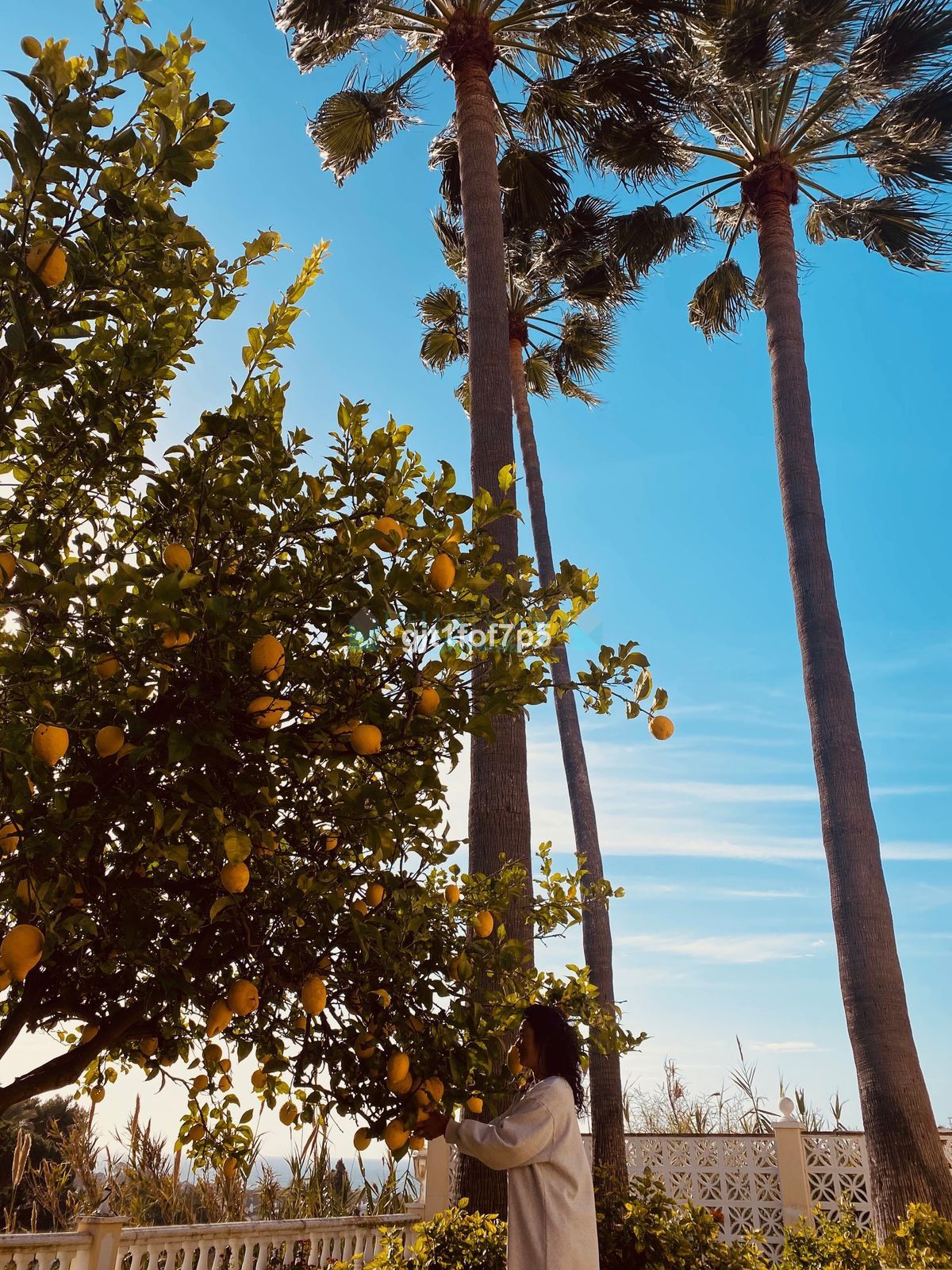 Villa for rent in Elviria, Marbella East