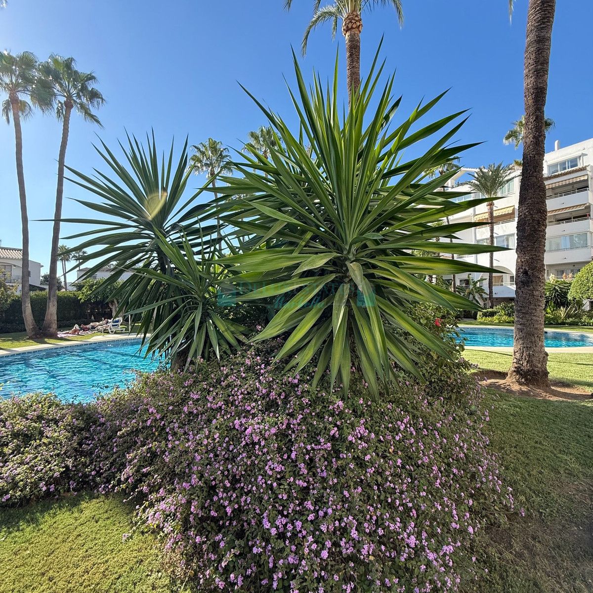Apartamento Planta Baja en alquiler en Estepona