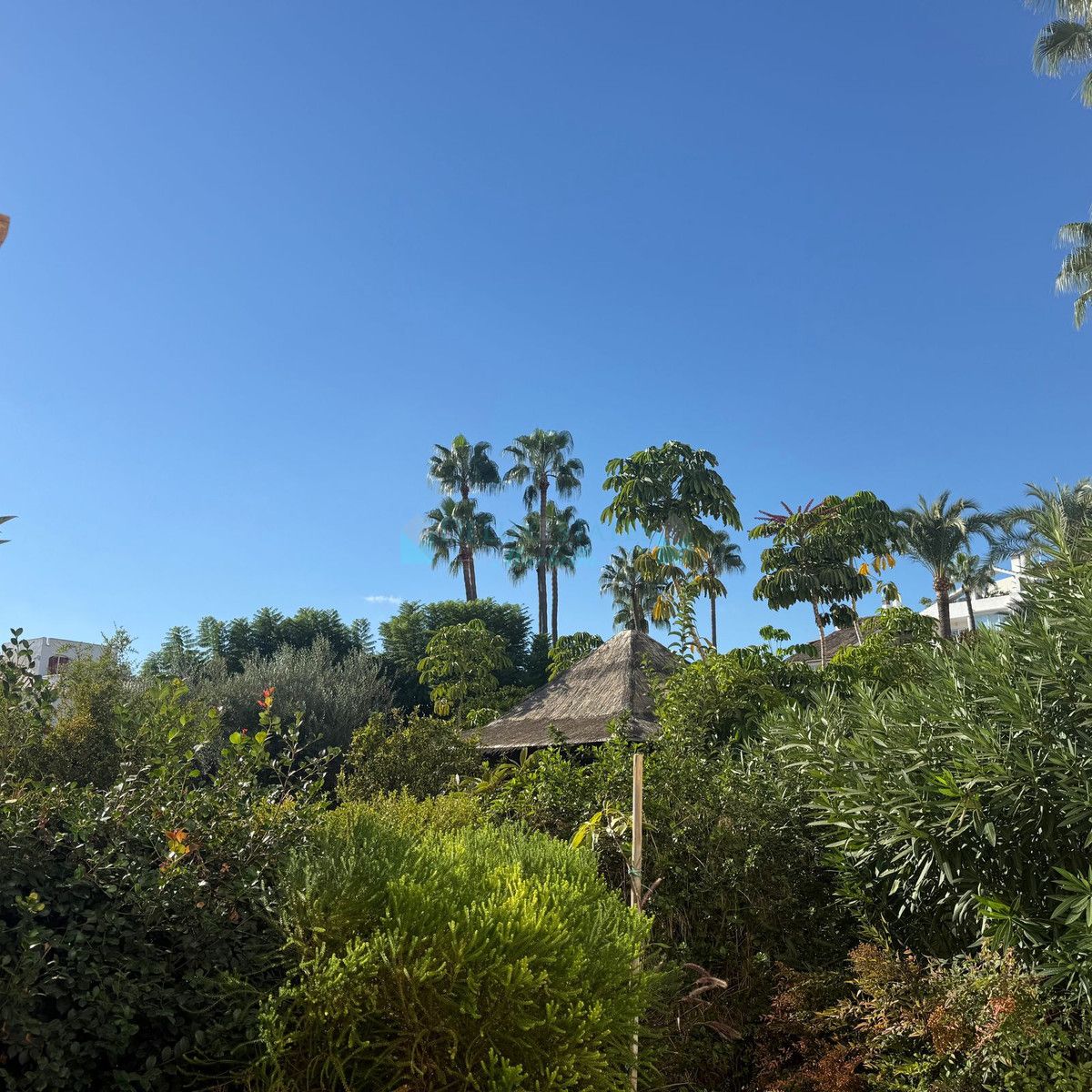 Apartamento Planta Baja en alquiler en Estepona