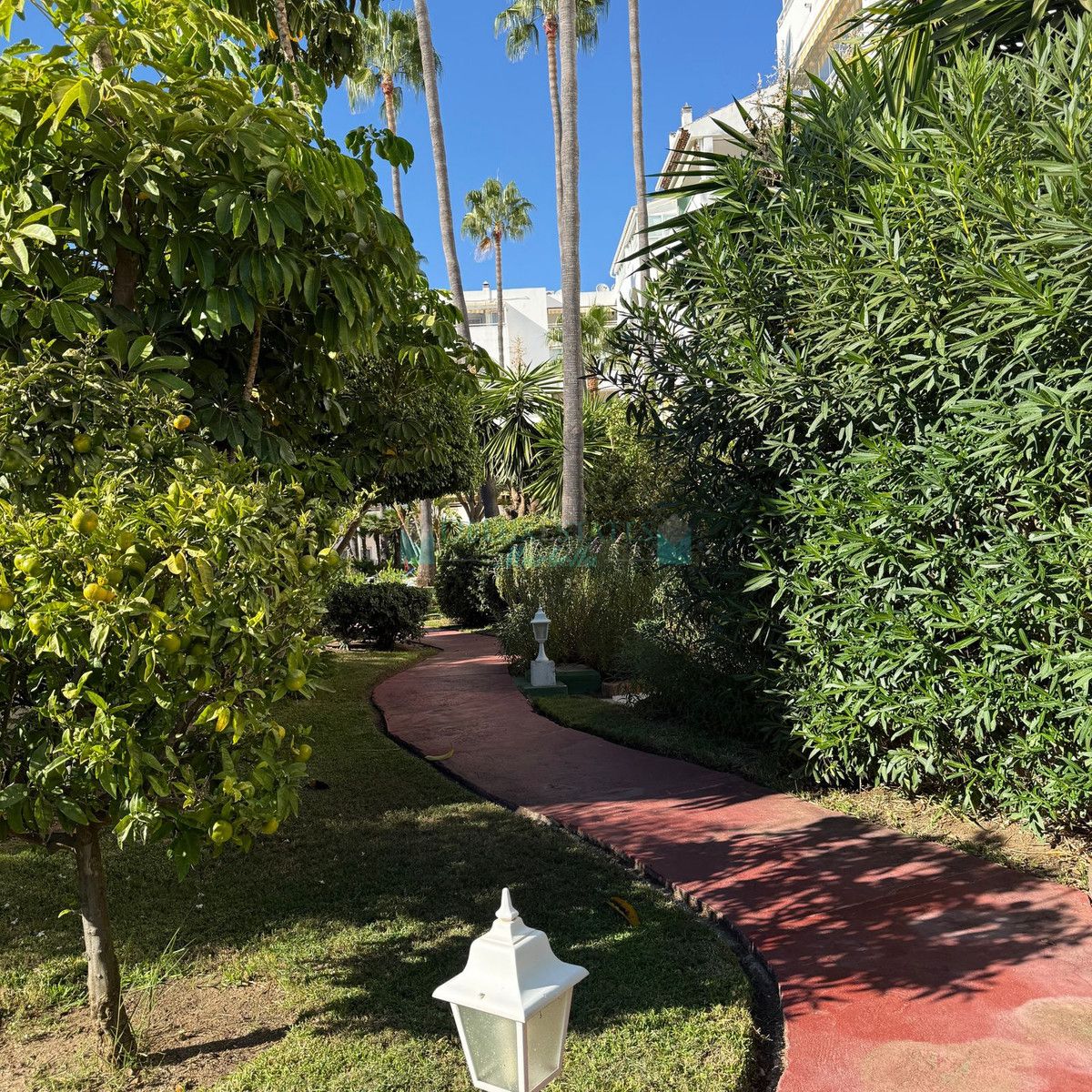 Apartamento Planta Baja en alquiler en Estepona