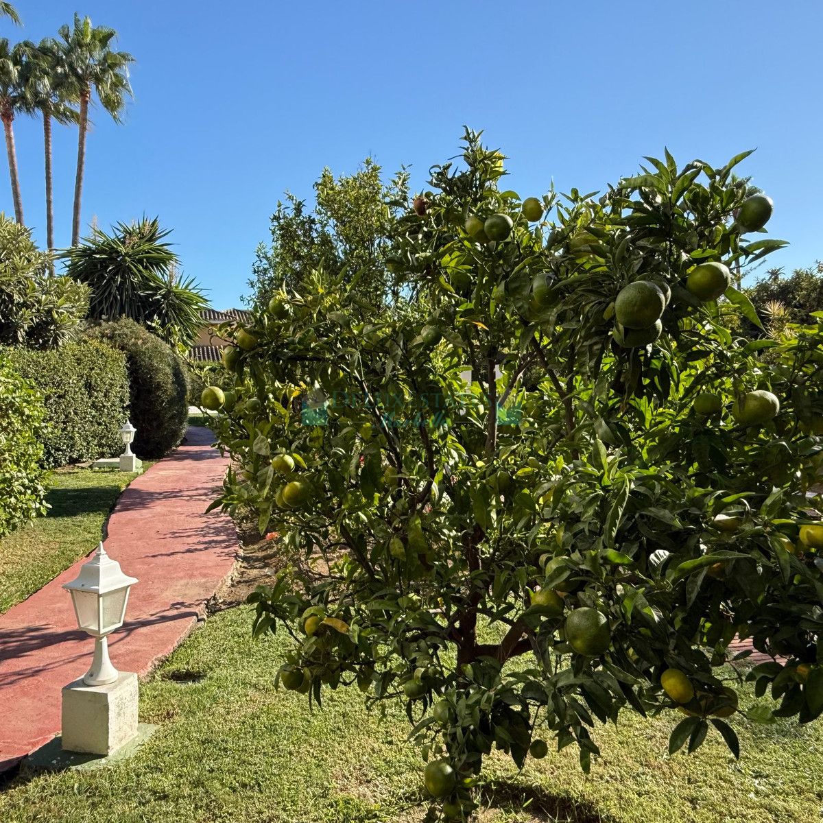 Apartamento Planta Baja en alquiler en Estepona