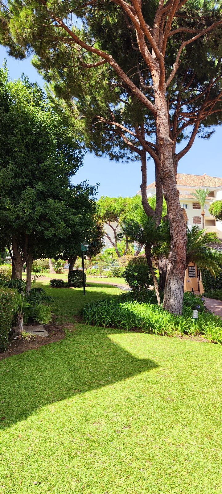 Ground Floor Apartment for sale in Elviria, Marbella East