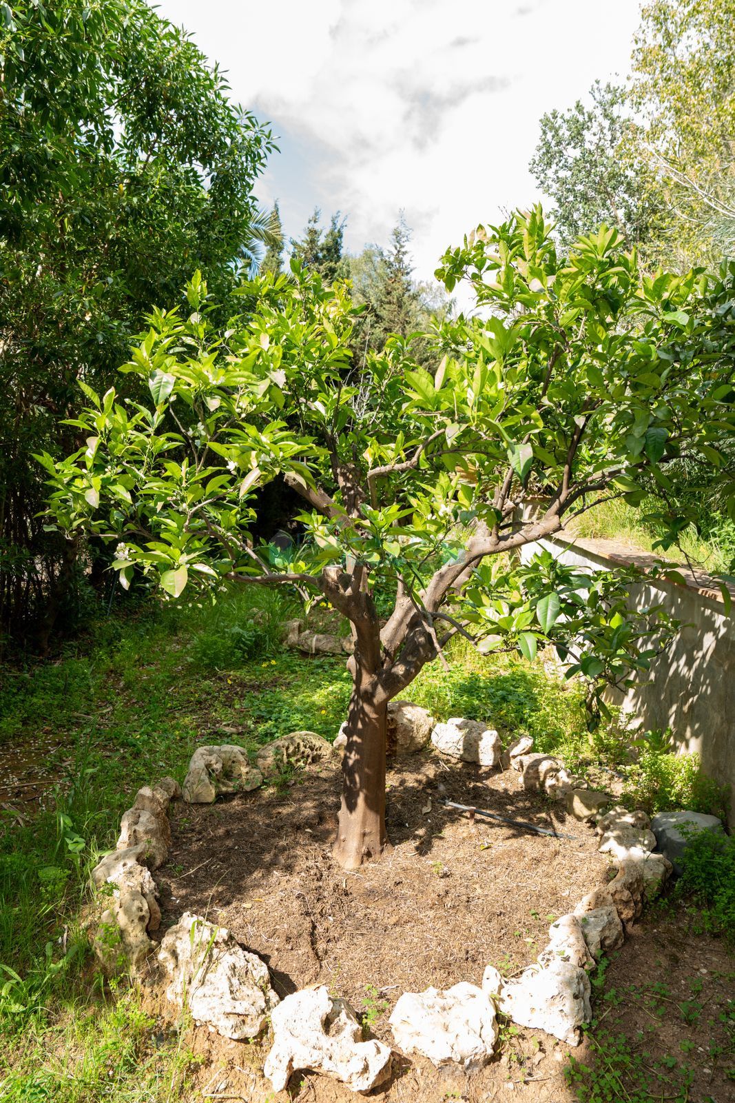 Villa en venta en Elviria, Marbella Este