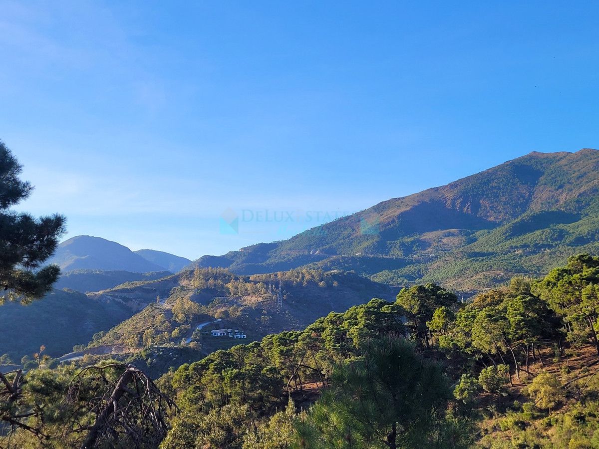 Plot for sale in La Zagaleta, Benahavis