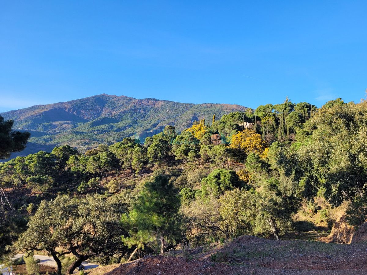 Plot for sale in La Zagaleta, Benahavis