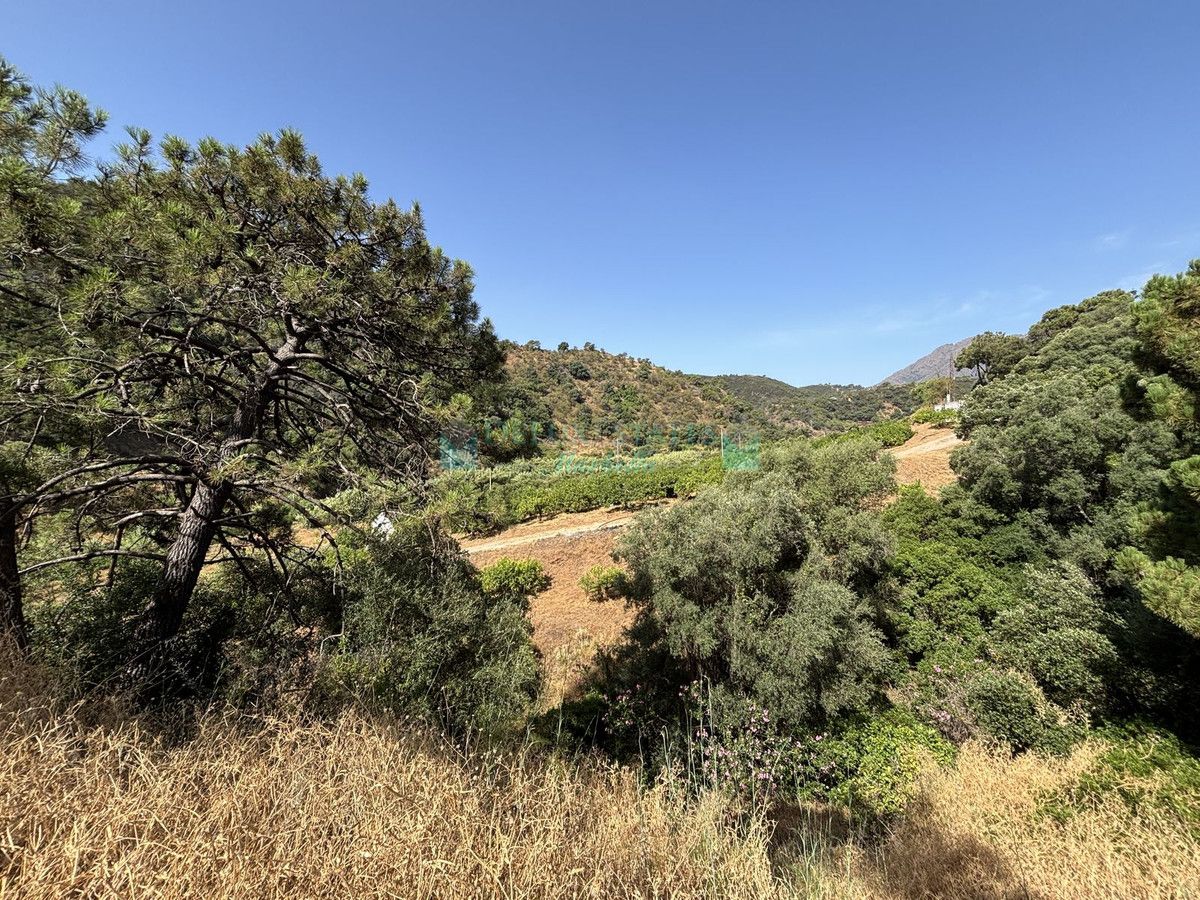 Parcela en venta en El Padron, Estepona