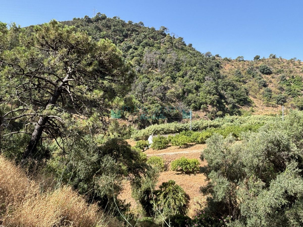 Parcela en venta en El Padron, Estepona