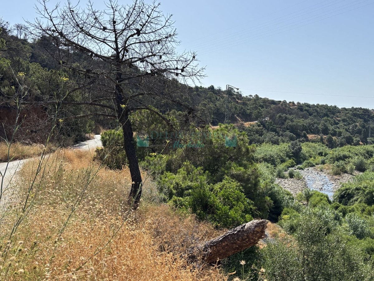 Parcela en venta en El Padron, Estepona