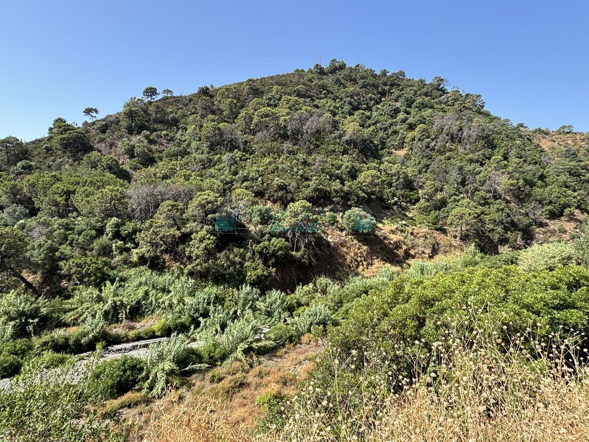 Parcela en venta en El Padron, Estepona