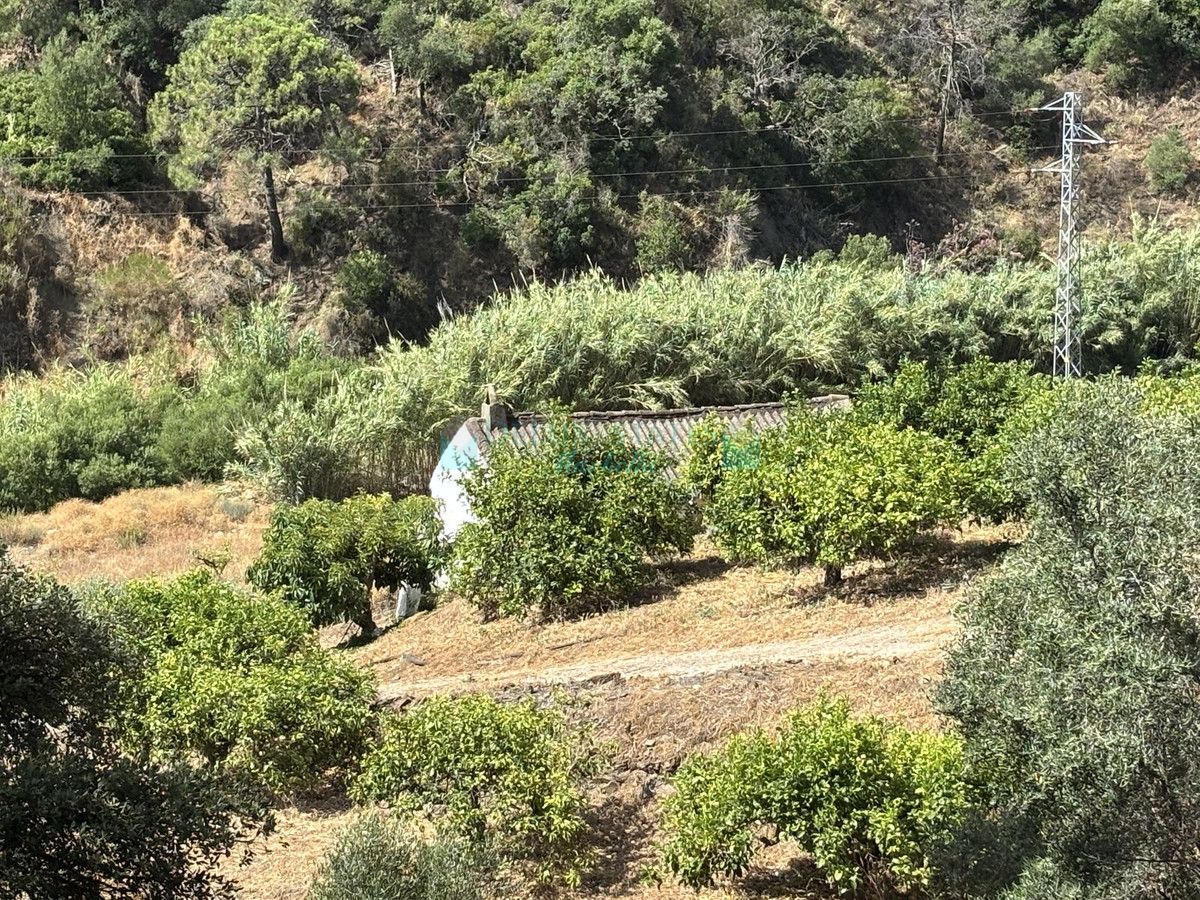 Parcela en venta en El Padron, Estepona