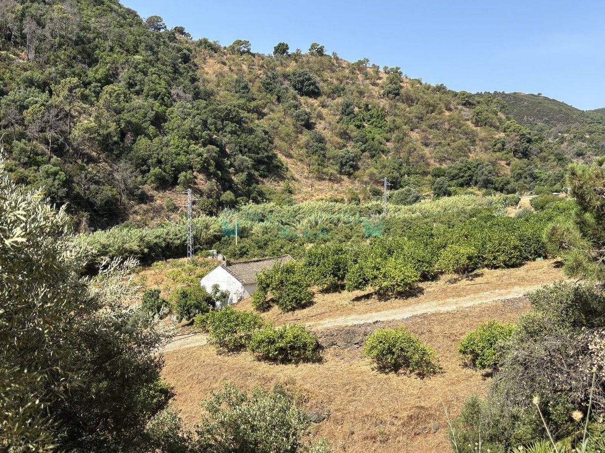 Parcela en venta en El Padron, Estepona