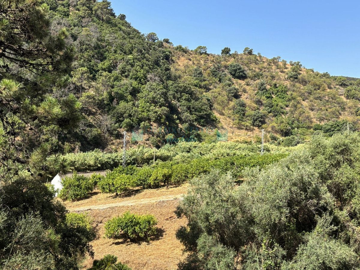 Parcela en venta en El Padron, Estepona